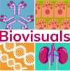 Biovisuals Admin Logo